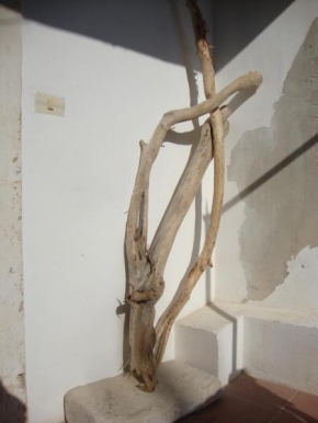 Il Nido di Diana in Ortigia